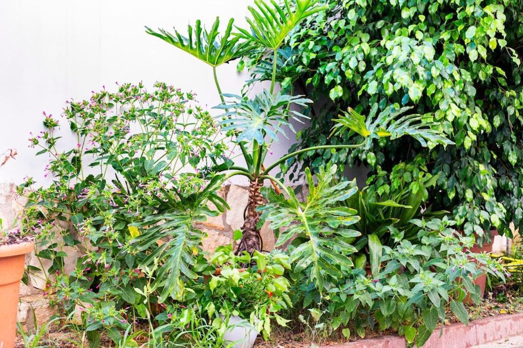 Appartement Da Mari Casa Cagliari